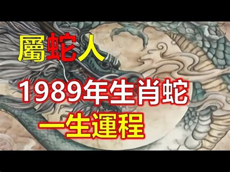 1989屬|1989年属什么生肖